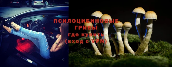 альфа пвп Надым