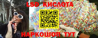 стаф Краснодар