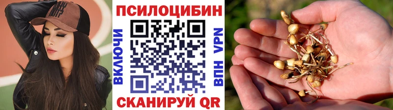 Галлюциногенные грибы Magic Shrooms  Лиски 